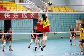 和平精英新版本职业环境变化